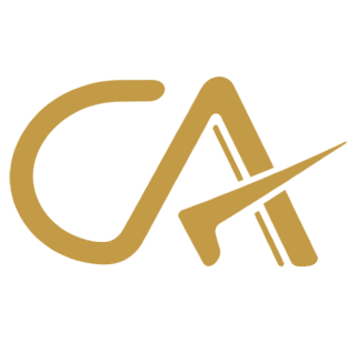 Chartered Accountant